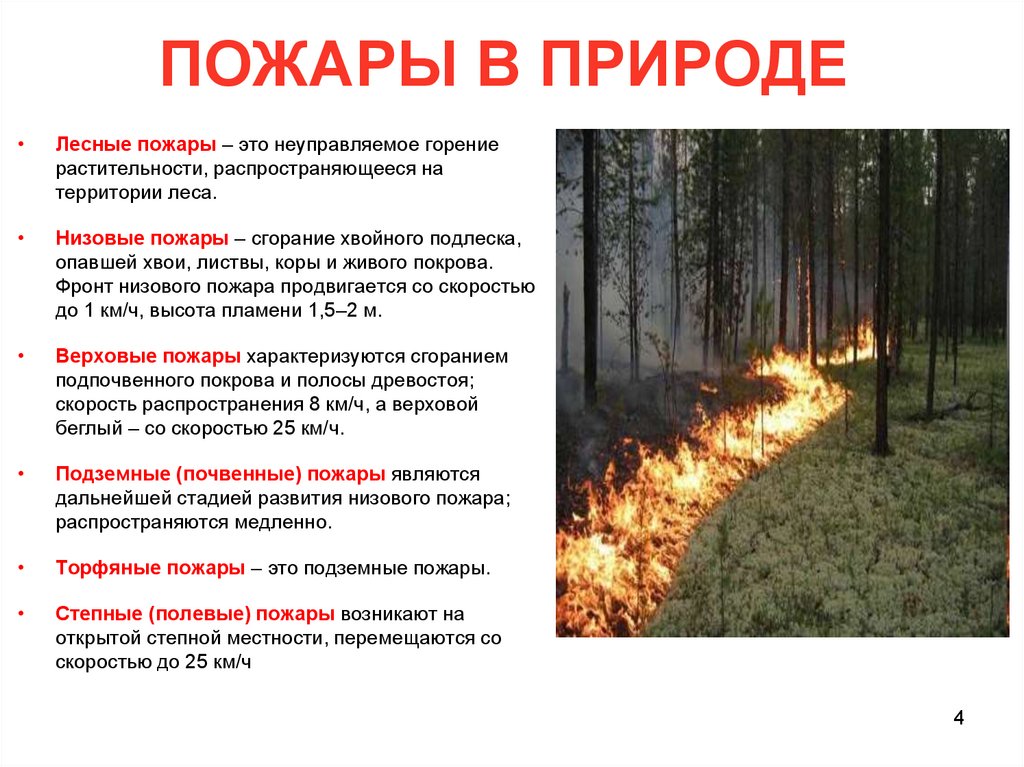 ПОЖАРЫ В ПРИРОДЕ
