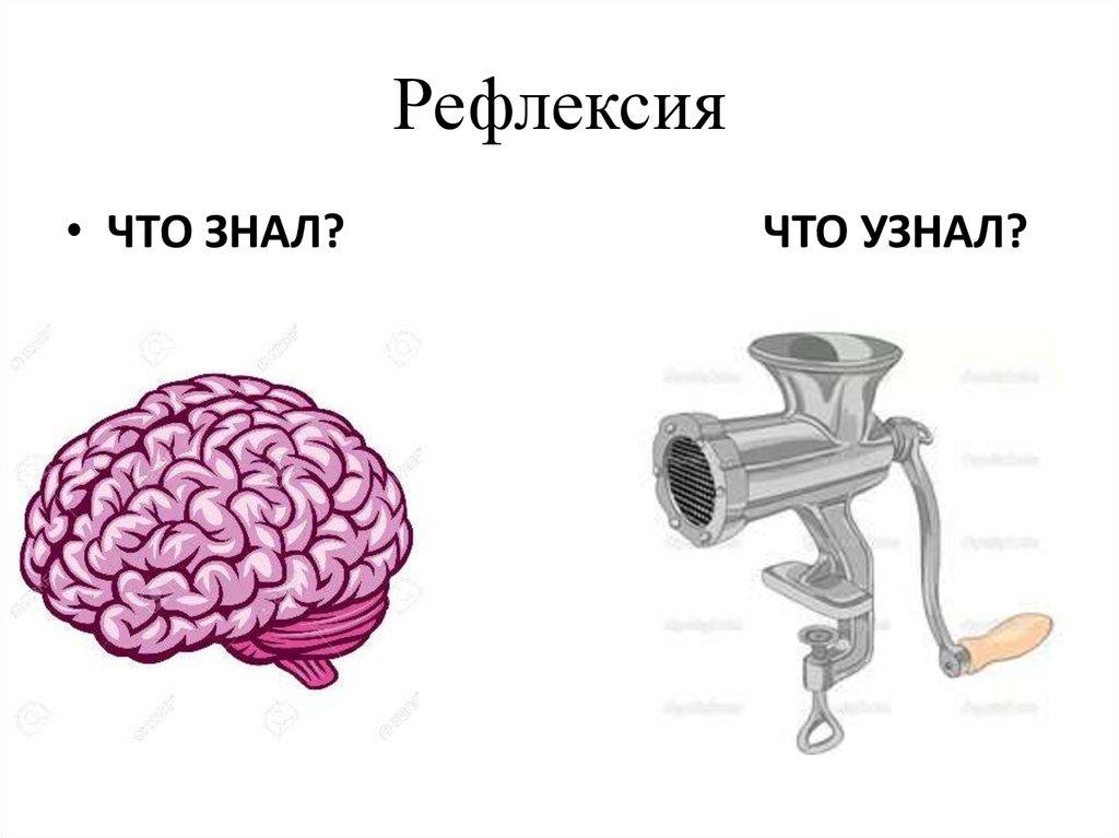 Рефлексия