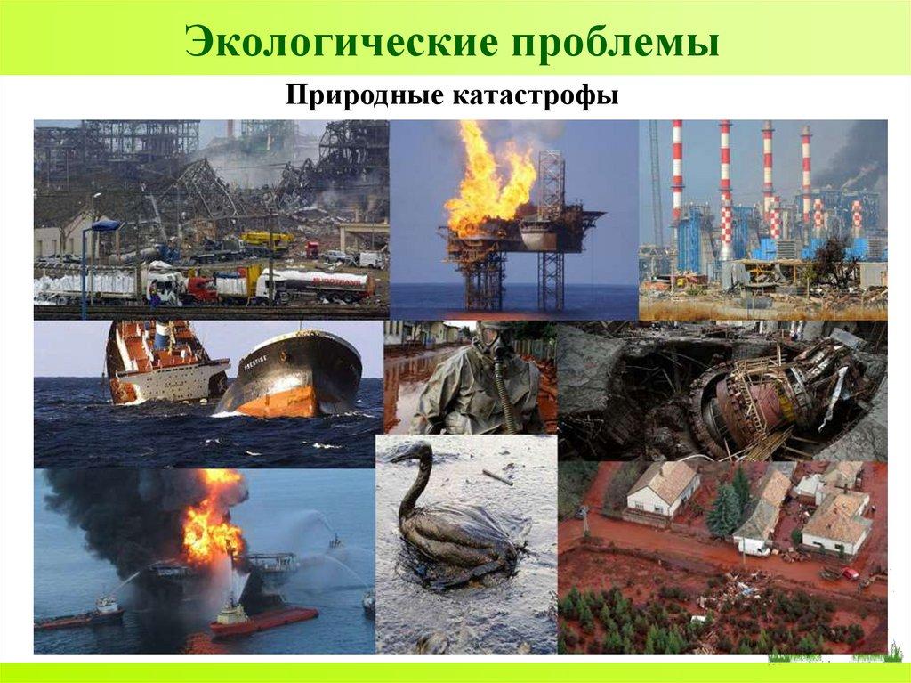 Экологические проблемы