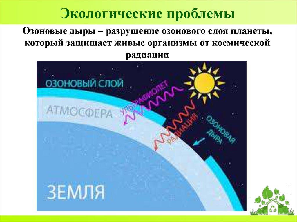 Экологические проблемы