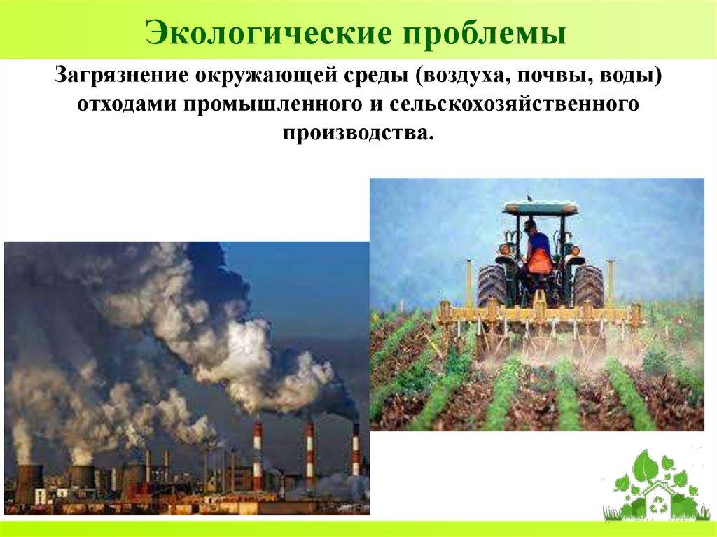 Экологические проблемы