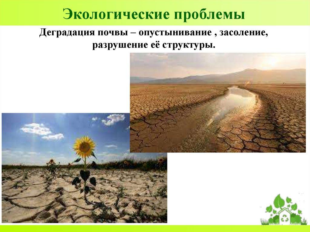 Экологические проблемы