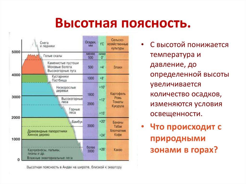 Высотная поясность.