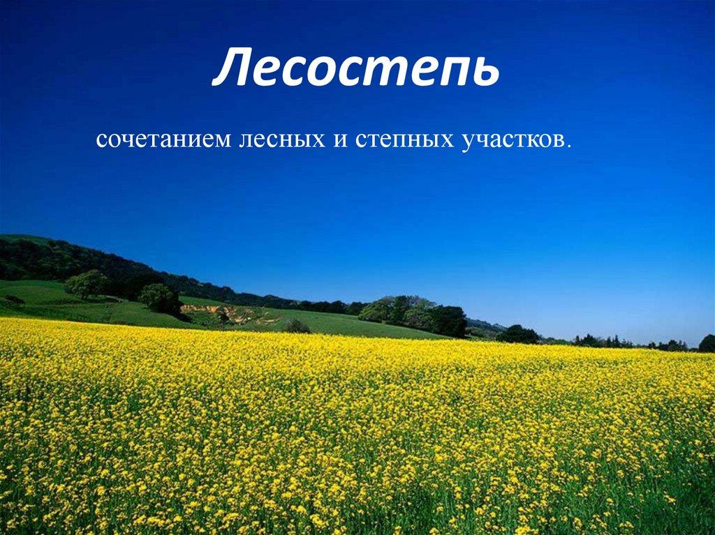 Лесостепь