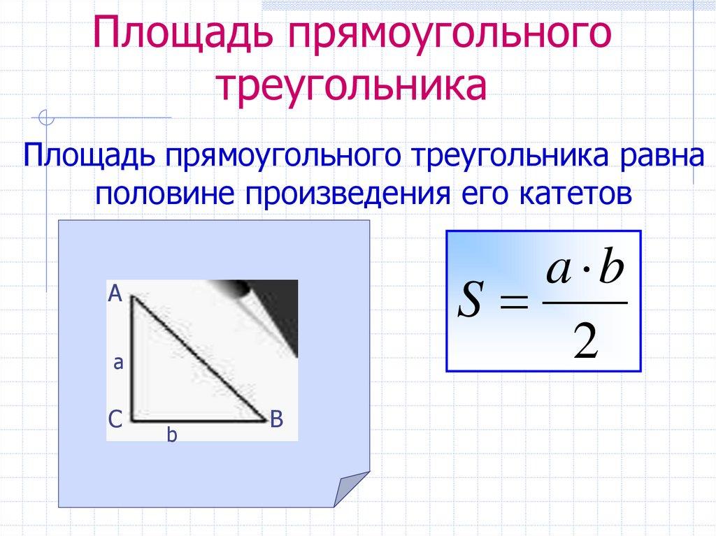 Площадь прямоугольного треугольника