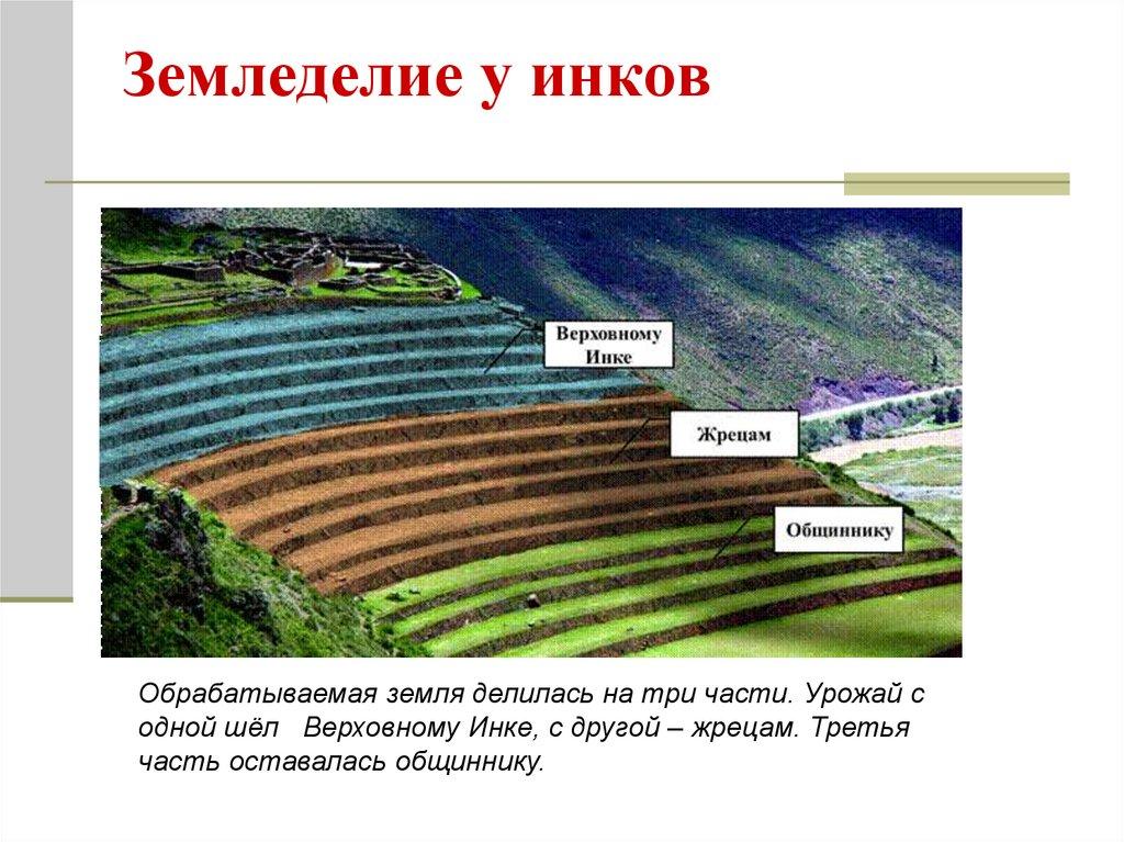 Земледелие у инков