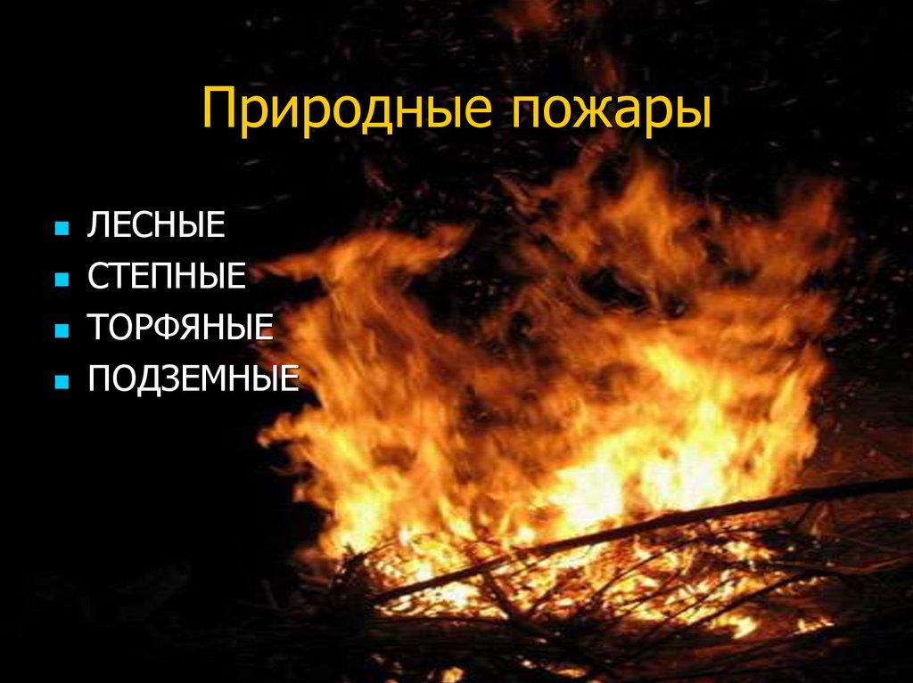 Природные пожары