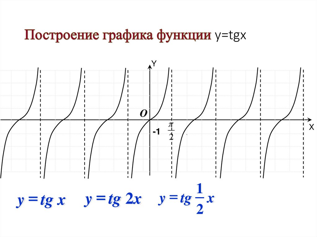 Построение графика функции y=tgx