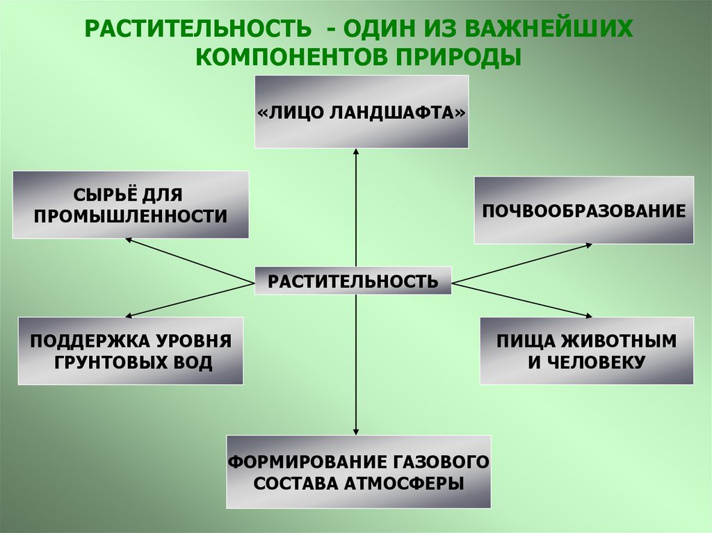 РАСТИТЕЛЬНОСТЬ - ОДИН ИЗ ВАЖНЕЙШИХ КОМПОНЕНТОВ ПРИРОДЫ