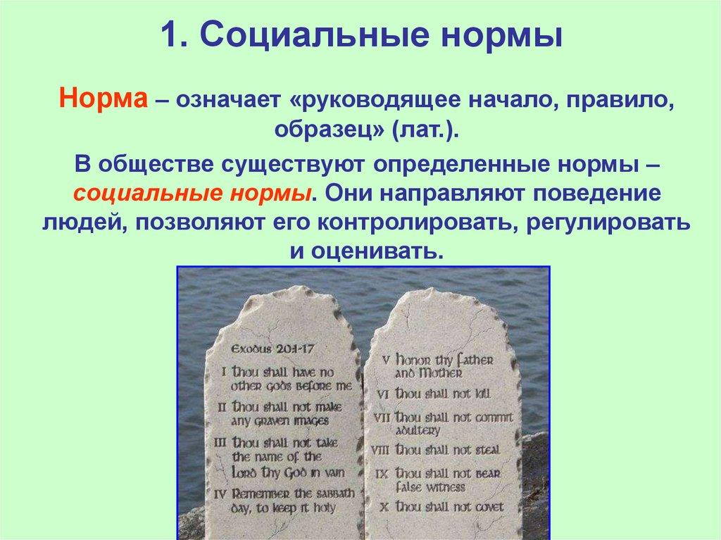 1. Социальные нормы