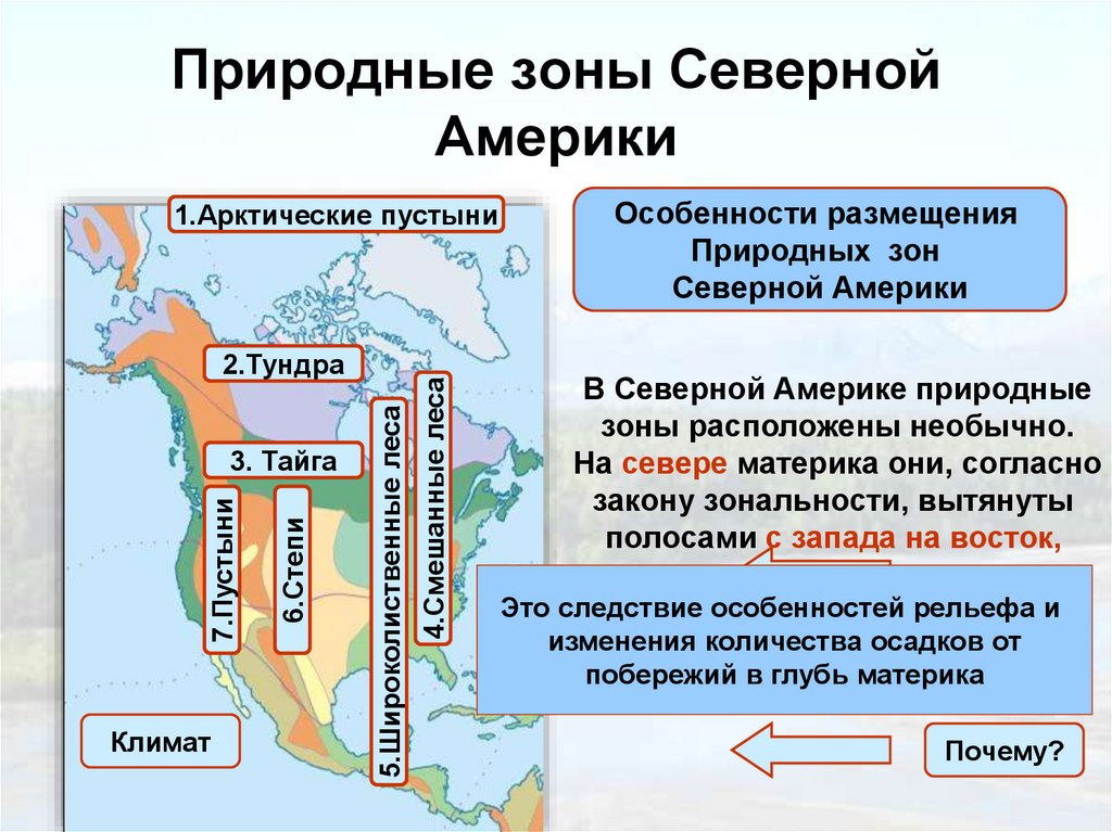 Природные зоны Северной Америки