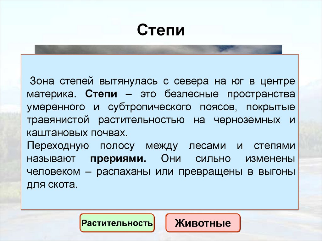 Степи