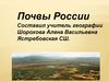 Почвы России. Почва - преобразованная часть литосферы