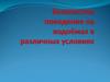 Безопасное поведение на водоёмах в различных условиях