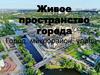 Живое пространство города