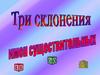 Три склонения имён существительных