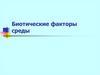 Биотические факторы среды. Типы связей между видами