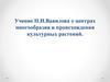 Учение Н.И. Вавилова о центрах многообразия и происхождения культурных растений