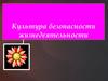 Культура безопасности жизнедеятельности