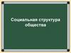 Социальная структура общества. Социальные институты
