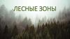 Лесные зоны