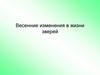Весенние изменения в жизни зверей