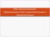 Имя прилагательное. Правописание имён существительных и прилагательных