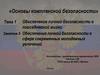 Обеспечение личной безопасности в сфере современных молодежных увлечений. Тема 1