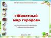 Животный мир городов