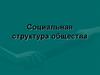 Социальная структура общества