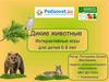 Дикие животные. Интерактивные игры для детей 6 - 8 лет