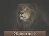 Фауна, животные   (урок 14)