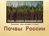 Почвы России. 8 класс
