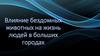 Влияние бездомных животных на жизнь людей в больших городах