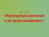 Культурные растения и их происхождение
