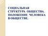 Социальная структура общества. Положение человека в обществе