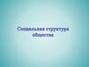 Социальная структура общества. 8 класс