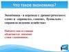Что такое экономика?
