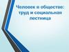 Человек в обществе: труд и социальная лестница